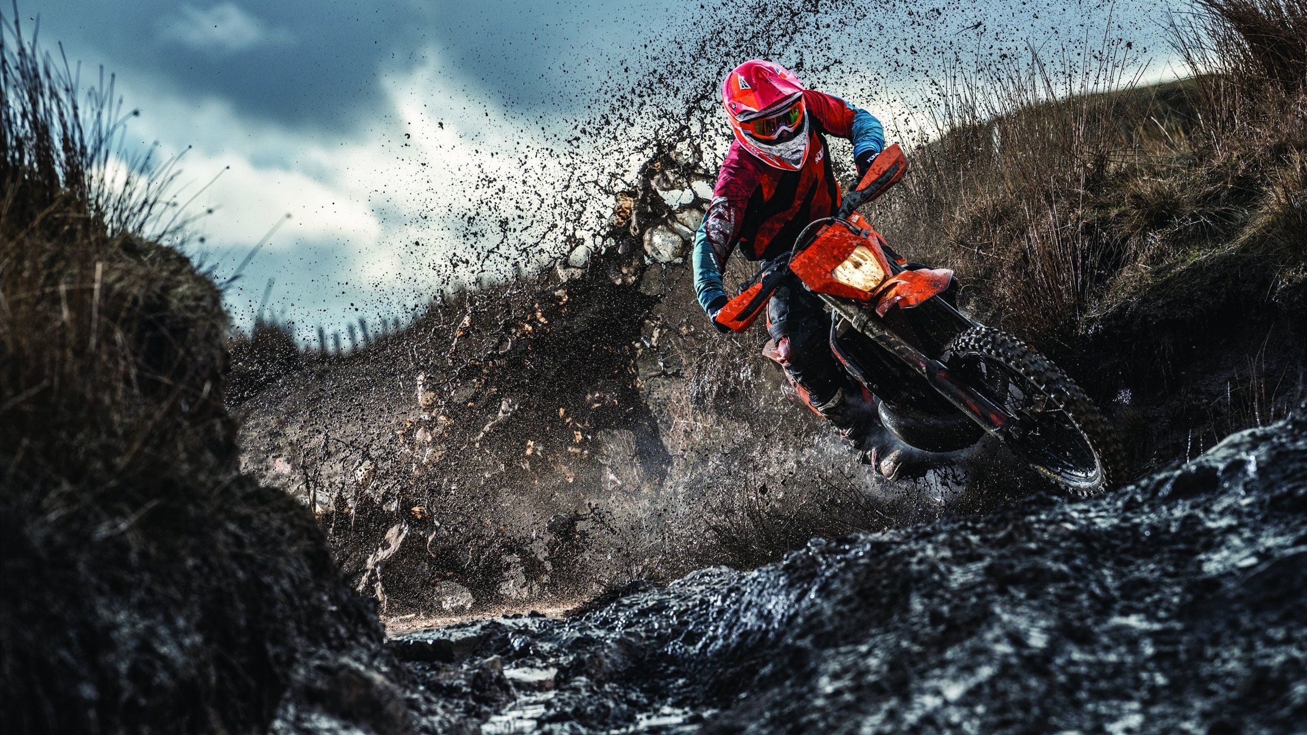 Cloud9官方分析内容受粉丝欢迎，cloud09